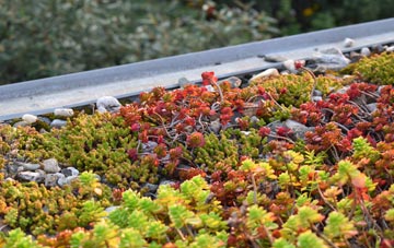 the cost of Todber green roof installation