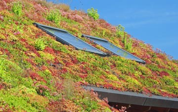 Todber living roof systems